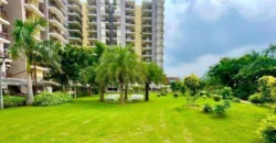 Trishla City 3BHK Flat For Sale In Patiala Road, Zirakpur
